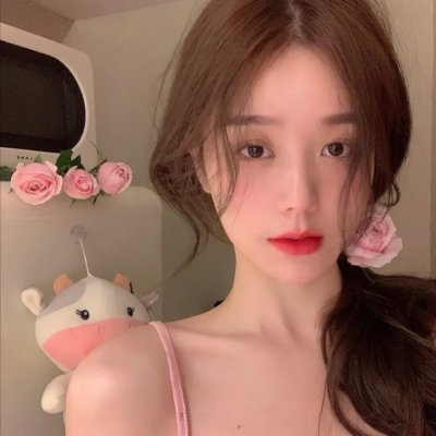 王冠的游戏:都铎家族